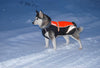 Winter Warm And Fashionable Pellet Down Jacket For Dogs