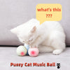 Musical Sound Ball Toy for Cats/ cat accessories
