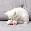 Musical Sound Ball Toy for Cats/ cat accessories