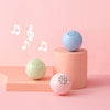 Musical Sound Ball Toy for Cats/ cat accessories