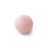 Musical Sound Ball Toy for Cats/ cat accessories