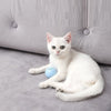 Musical Sound Ball Toy for Cats/ cat accessories