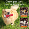 Interactive Toys Designed For Medium And Large Dogs